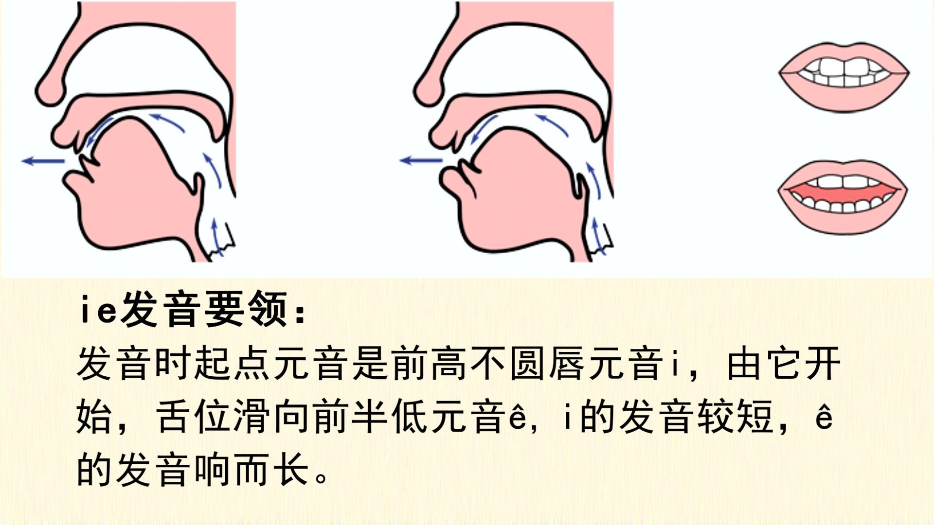 区别是不是ie 区别是不是软籽石榴和硬籽 