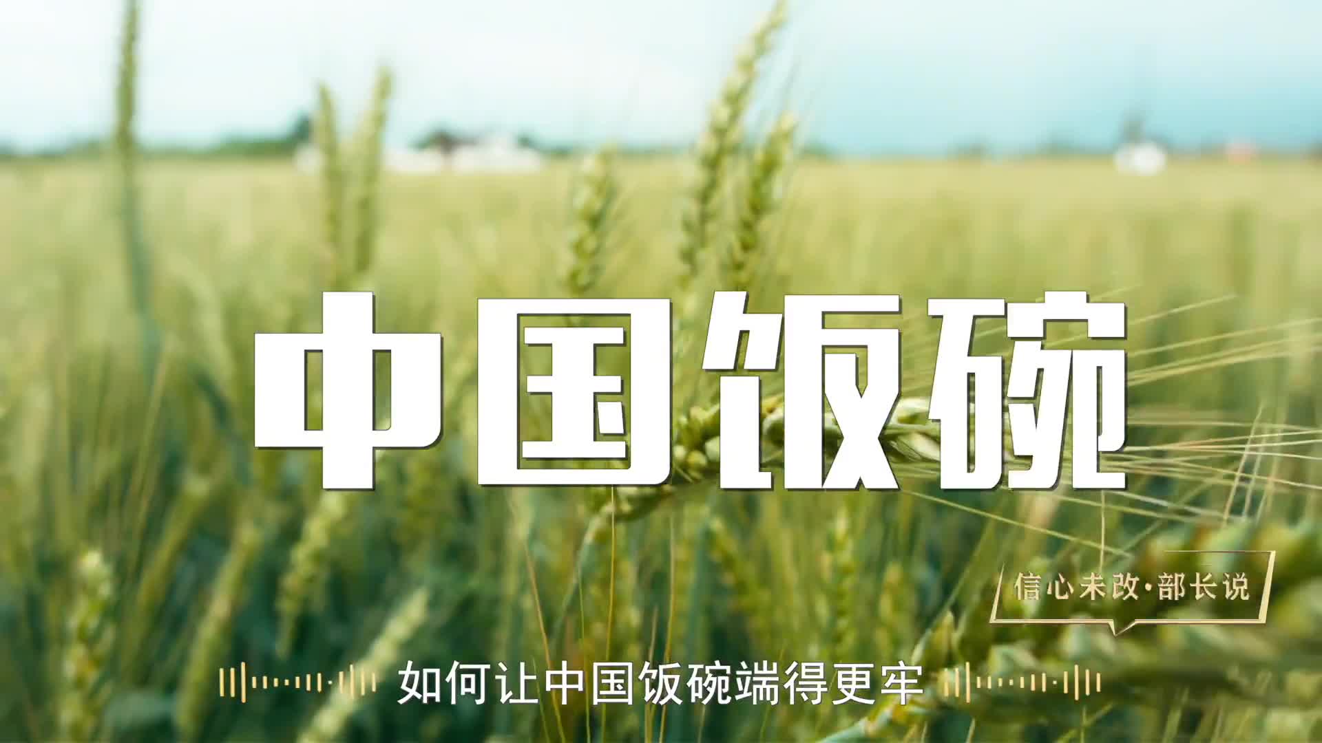 广岛队欧洲杯预选赛坎坷起步，全力以赴走向新航程的简单介绍