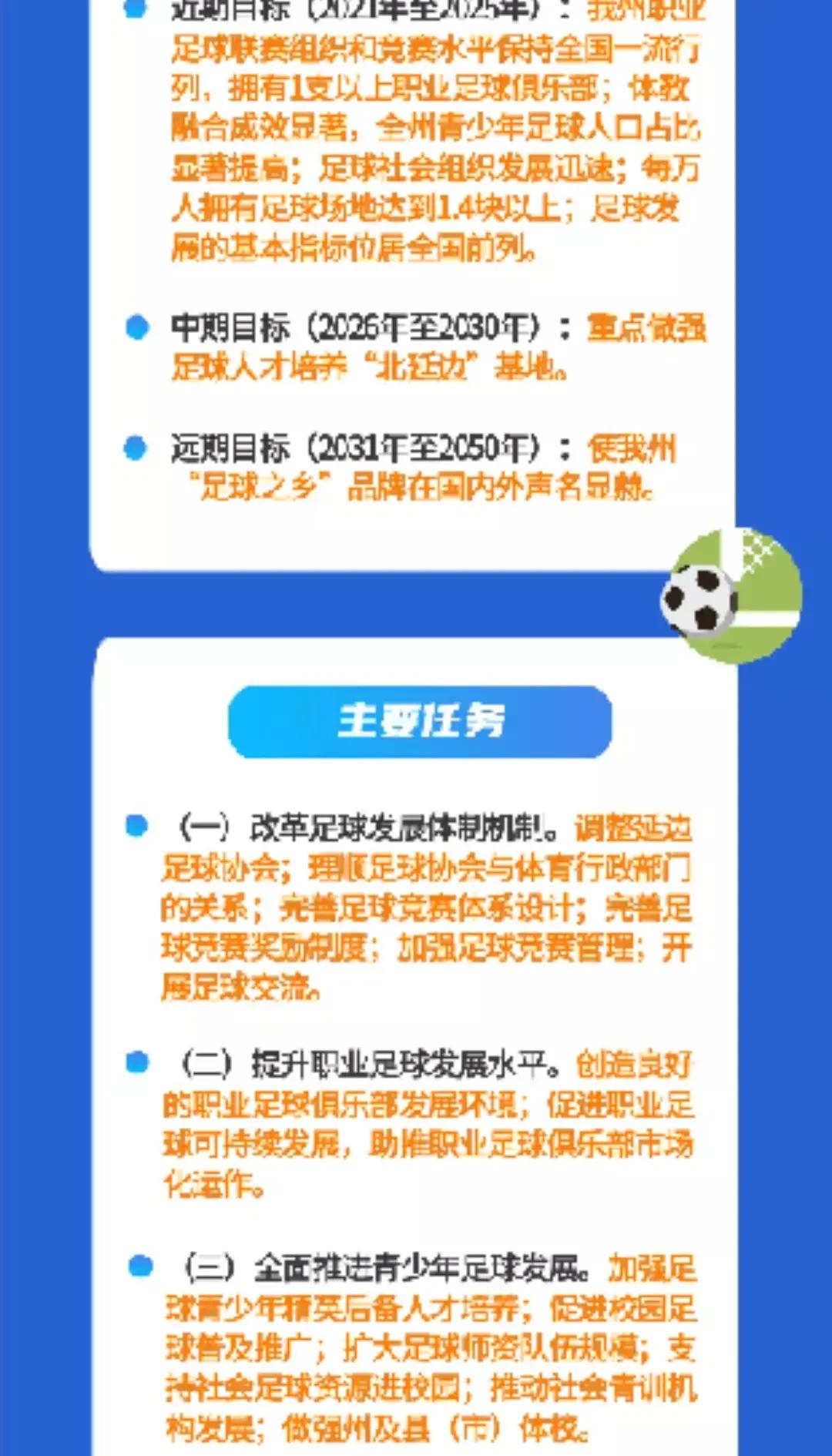 国内足球产业发展的未来规划和趋势 