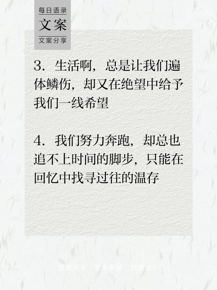 弗赖堡虽战而败，仍努力保持一线希望的简单介绍